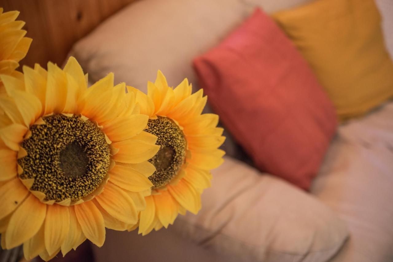 La Pieja Hotel Opi Kültér fotó